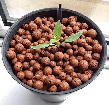 Hydro Stones / Clay Pebbles – Ideal for Soil Moisture & Aeration