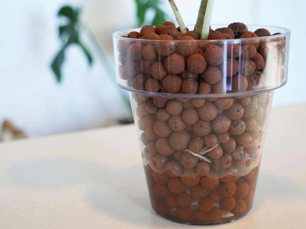 Hydro Stones / Clay Pebbles – Ideal for Soil Moisture & Aeration