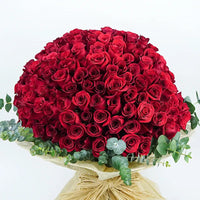 Thumbnail for 100 Roses Grand Expressions