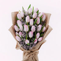 Thumbnail for Blushing Pink Tulips