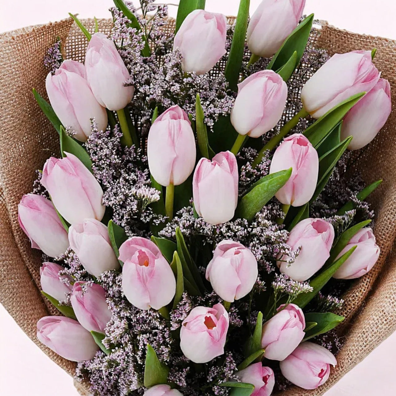 Blushing Pink Tulips