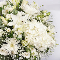 Thumbnail for Enchanting White Flower Arrangement